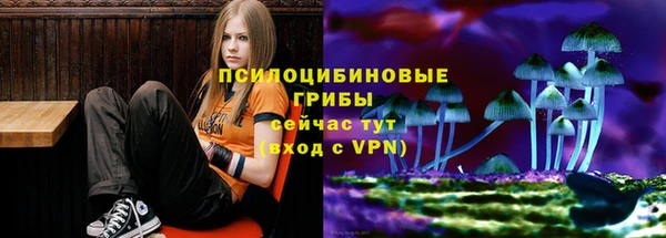 Альфа ПВП Покровск