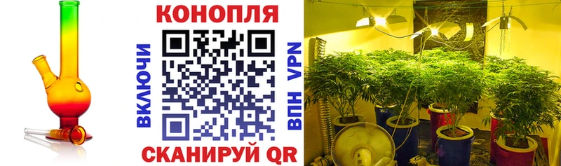 Бошки марихуана семена  Купить закладки  Мурманск 